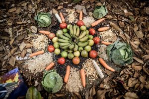 Jornada Agroecológica